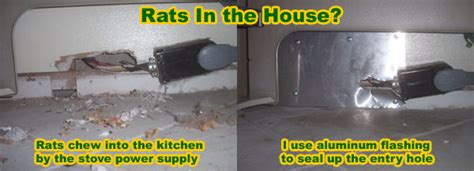 How is a Rat Getting In My House, Building, or Attic ...