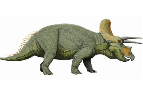 How Many Dinosaurs Can You Name?   Trivia Quiz   Zimbio
