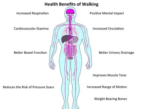 How much must I walk in order to reap the health benefits ...