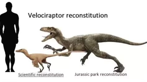 How realistic is the portrayal of the velociraptor in ...