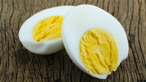 How the Unboiled Egg Will Contribute to Cancer Research ...
