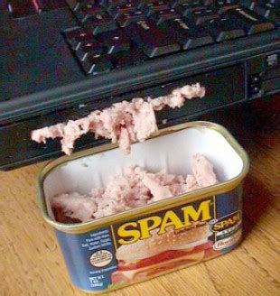 How the Word “Spam” Came to Mean “Junk Message”