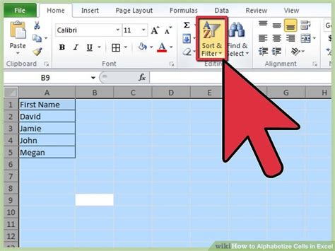 How to Alphabetize Cells in Excel: 10 Steps  with Pictures