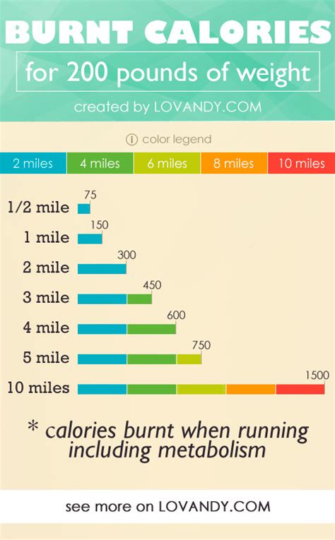 How to Calculate Calories Burned Running + Examples
