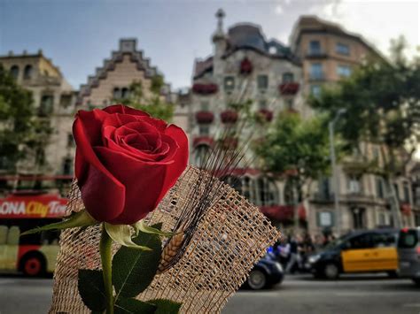 How to celebrate Sant Jordi Day: books, roses and dragons ...