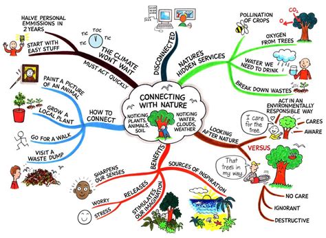 How To Create A Mind Map  + Examples
