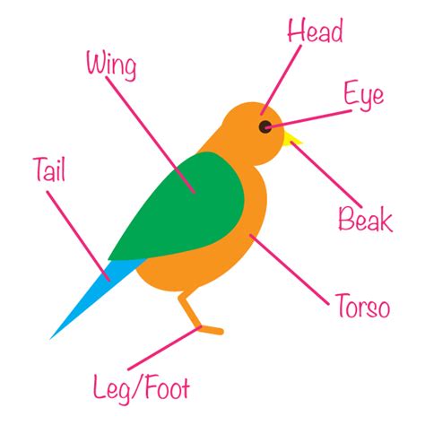 How to Create a Seamless Bird Pattern with Retro Touch in ...