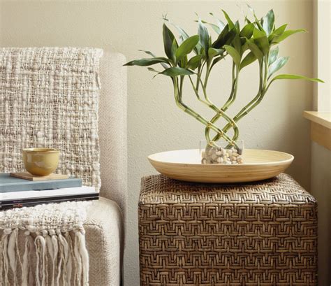 How to Create Good Feng Shui in Your Home | Mejores plantas de interior ...