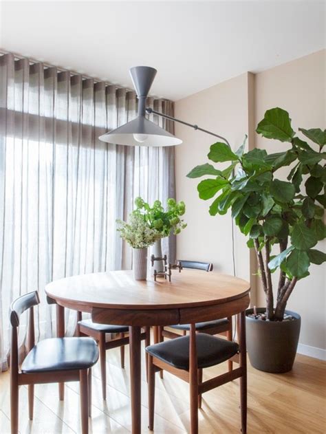 How To Decorate With Tall Indoor Plants