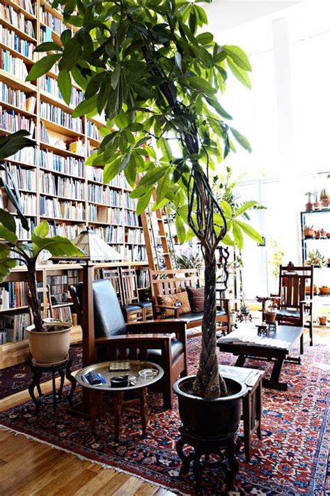 How To Decorate With Tall Indoor Plants