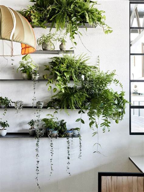 How to Decorate Your Interior with Green Indoor Plants and ...