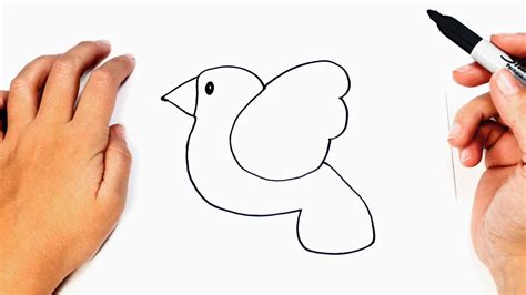 How to draw a Bird Easily Step by Step | Easy drawings ...