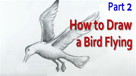 How to Draw a Bird Flying: 2   YouTube
