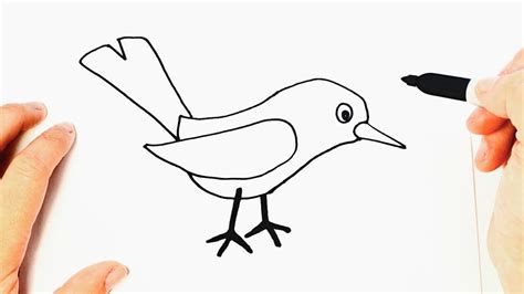 How to draw a Birdie Step by Step | Drawings Tutorials ...