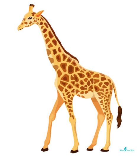 How To Draw A Giraffe: An Easy Step By Step Tutorial