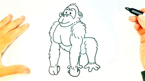 How to draw a Gorilla | Gorilla Drawing Lesson Step by ...