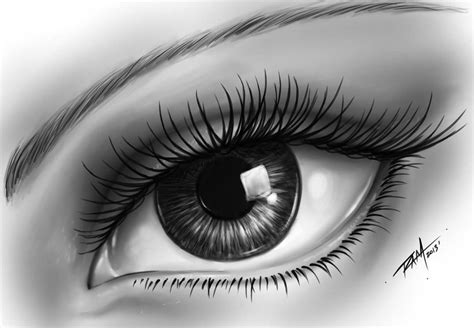 How to Draw a Realistic Eye   by RAM by robertmarzullo on ...