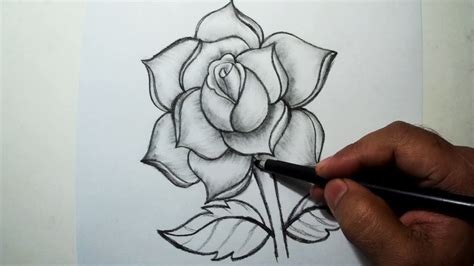 How to Draw A Rose || Easy Pencil Drawing   YouTube