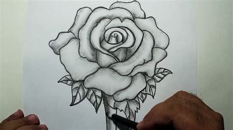 How to Draw A rose || Pencil Drawing and Shading   YouTube