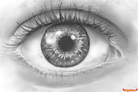 How to Draw an Eye in Pencil, Step by Step, Eyes, People ...