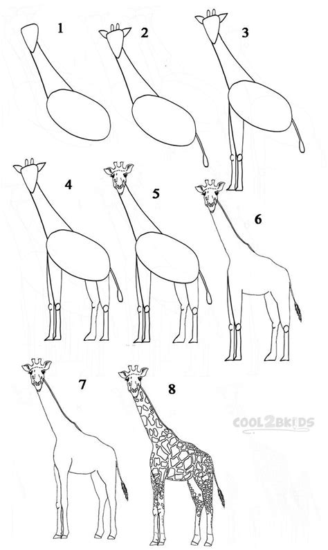 how to draw giraffe   Google Search | Giraffe drawing ...