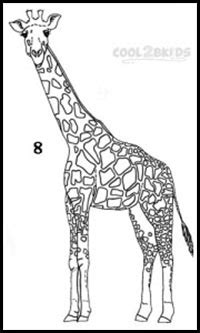 How to Draw Giraffes : Drawing Tutorials & Drawing & How ...
