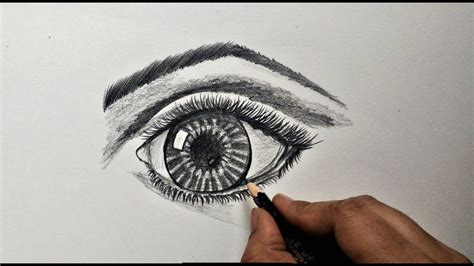 How to draw human eye for beginners easy and step by step ...