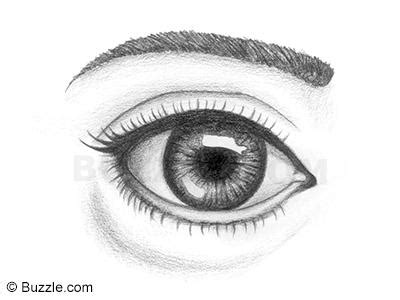 How to Draw Lively Human Eyes   An Easy Step by step ...