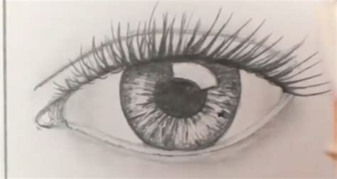How to Draw Realistic Human Eyes: 7 Steps  with Pictures