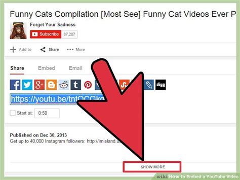 How to Embed a YouTube Video: 13 Steps  with Pictures ...