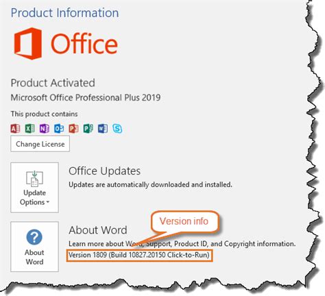 How to find out what version of Word you have