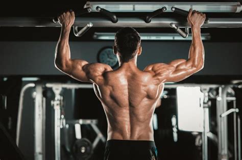 How to Get Shredded Back   Workout Plan for Your Back ...