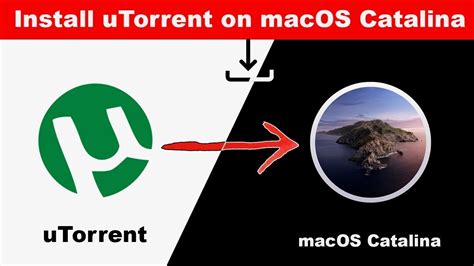 How to install uTorrent  App  on macOS Big Sur, macOS Catalina | 2021 ...