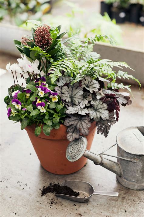 How to make a winter hardy container for the garden ...