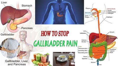 How to Prevent Gallbladder Problems | How To Stop ...