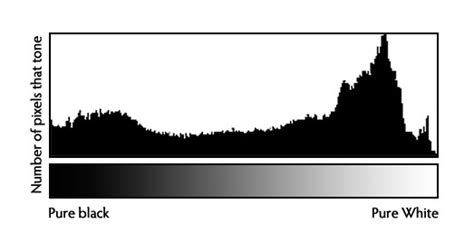 How To Read A Histogram   Photography Tutorial