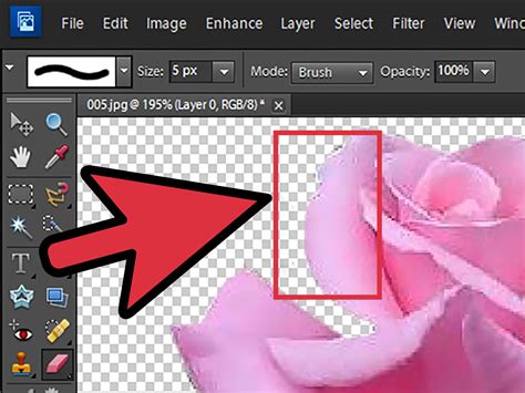 How to Remove Background With Photoshop Elements  with Pictures