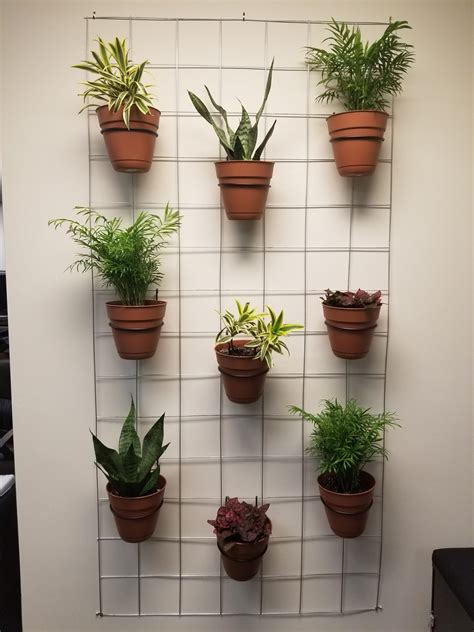 How to Start a DIY Plant Wall in Your Office
