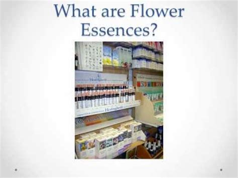 How to Use and Choose Flower Essences YouTube