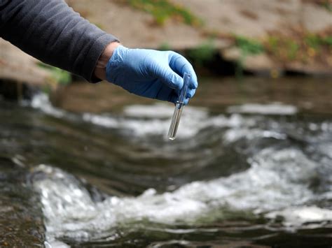 How Water Quality Testing Works | Dynamic DNA Labs