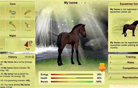 Howrse   Boring Online Horse Breeding Game for PC ...