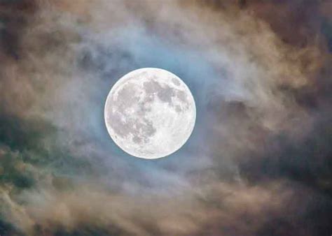 Hoy en la noche no te podés perder La luna llena del ciervo | TN8.tv ...