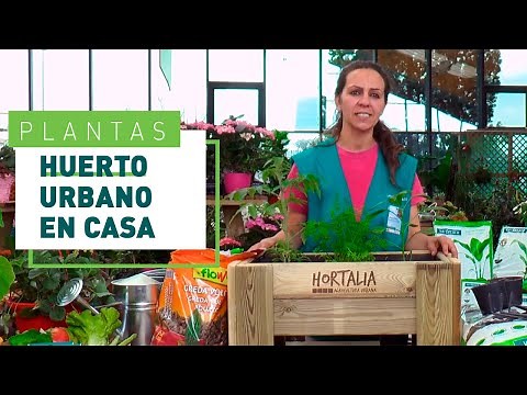 Huerto urbano: cómo hacerlo y qué plantar | Jardinería en VERDECORA