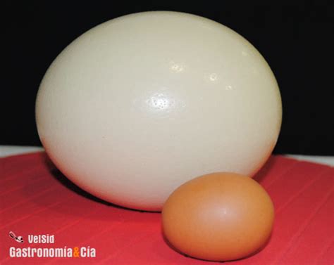 Huevo de avestruz | Gastronomía & Cía