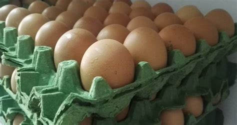 HUEVO, PRECIO, ALZA, MERCADO, COMIDA: Precio del huevo no ...