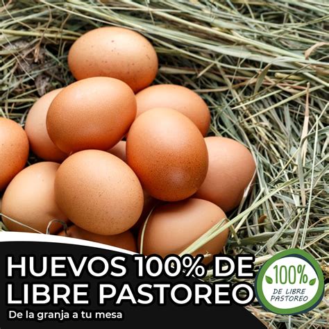 Huevos 100% de Libre Pastoreo – What Do You Need 7