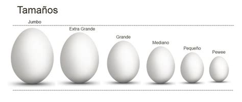 Huevos blancos y rosados | Huevos de Mixco