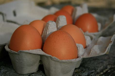Huevos camperos El Labrador   comprar online