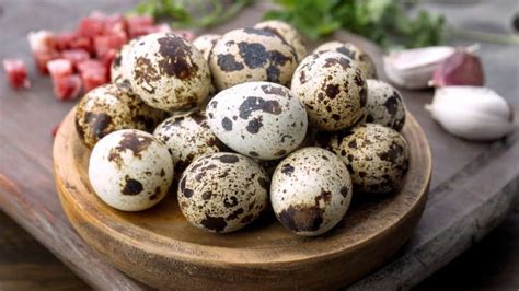 Huevos de codorniz: tips para aprovecharlos en todo tipo de comidas ...
