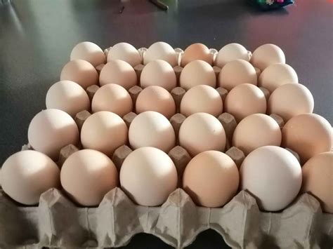 Huevos de corral pardo y rosados | Anuncio Clasificado ¡Gratis! Mercado ...